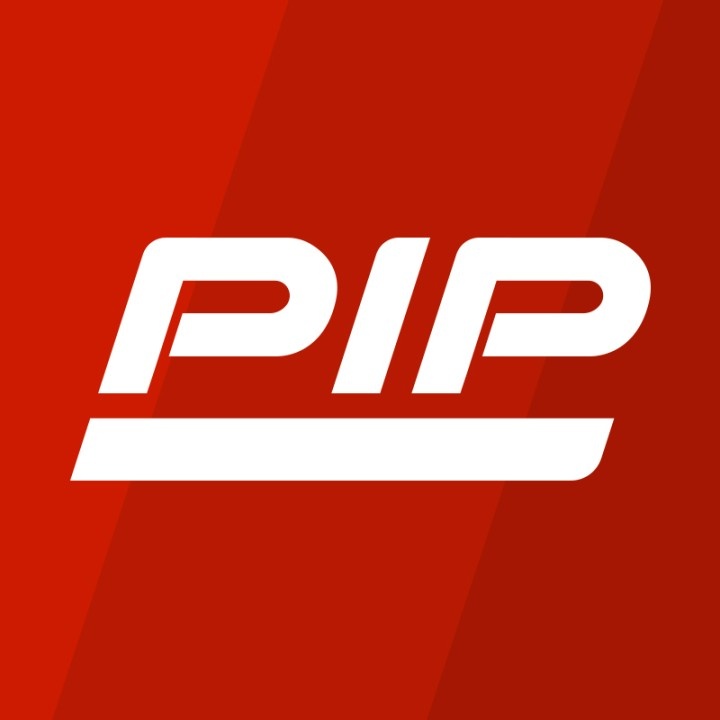 PIP Global Safety